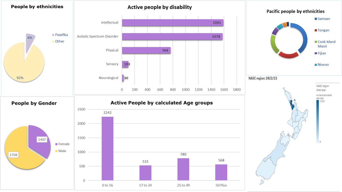 Appendix Five: Pacific disability dashboard. Data is in the description below. 